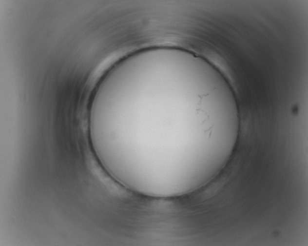 X0000113931088200910161845