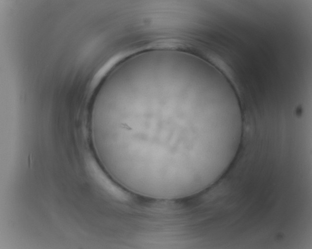 X0000113931091200910161845