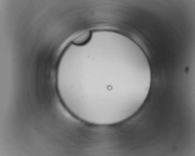 X0000113931092200910161845