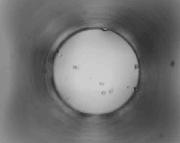 X0000113931093200910161845