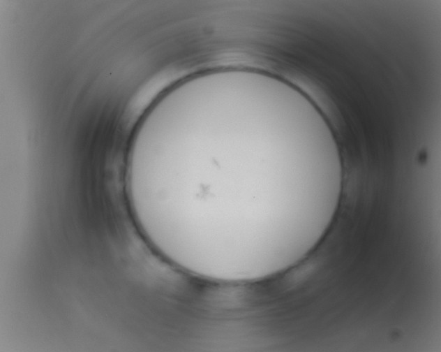 X0000113931094200910161845