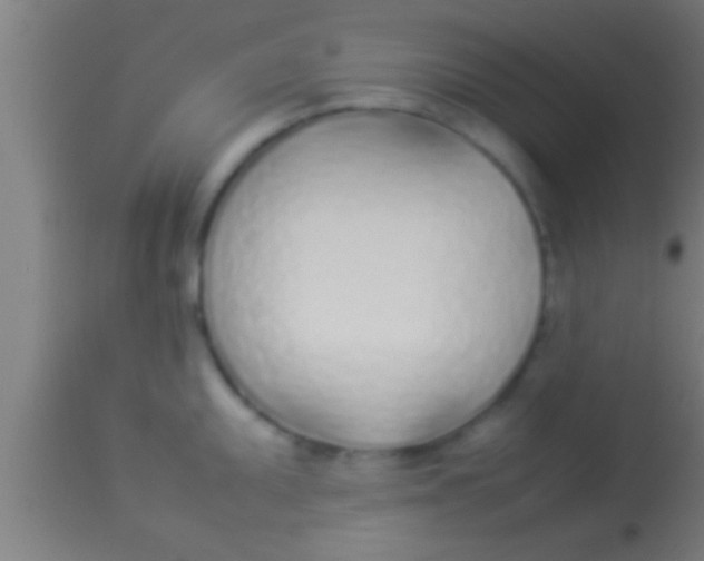 X0000113931095200910161845