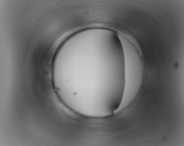 X0000113931096200910161845