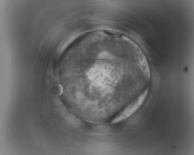 X0000113931097200910161844