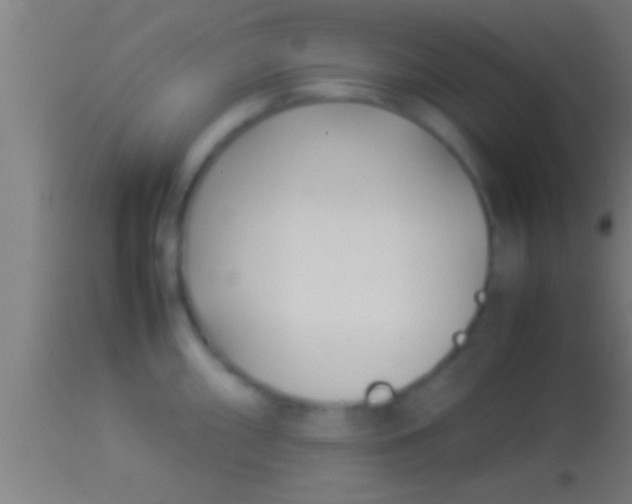 X0000113931098200910161844