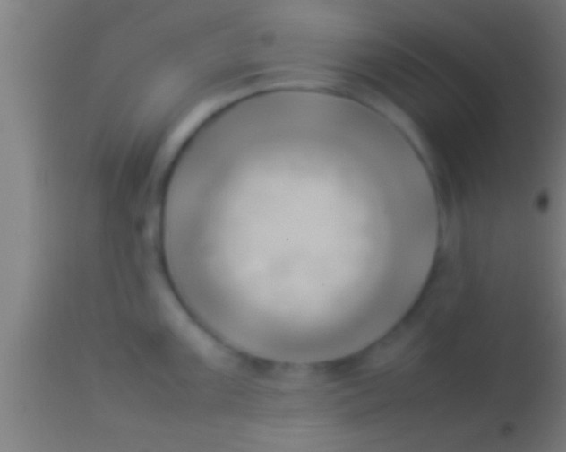 X0000113931099200910161844