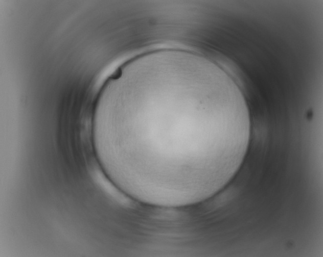 X0000113931100200910161844