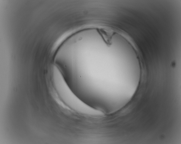 X0000113931101200910161844