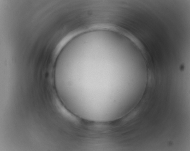 X0000113931102200910161844