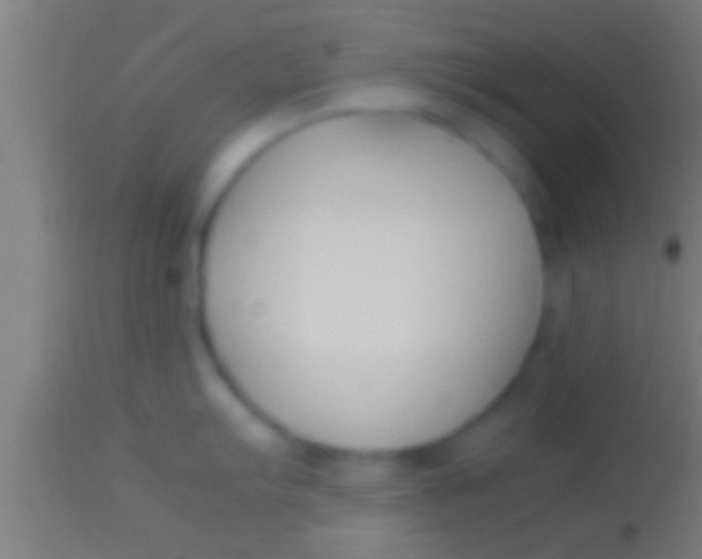 X0000113931103200910161844