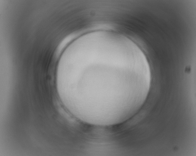 X0000113931104200910161844