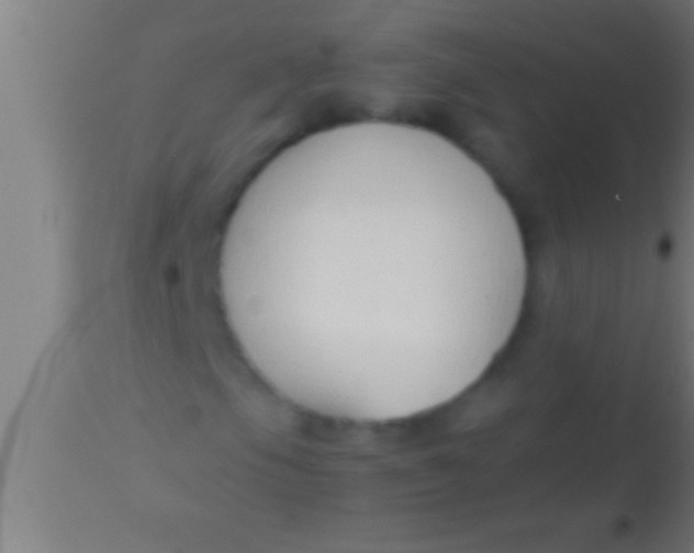 X0000113931105200910161844