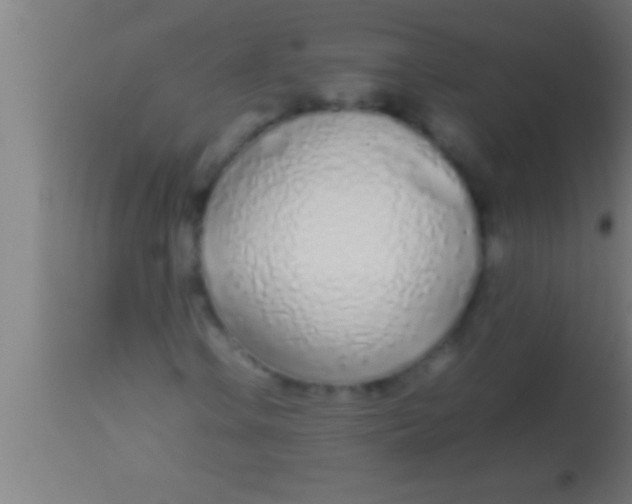 X0000113931106200910161844