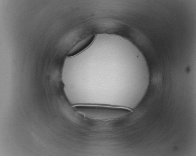 X0000113931108200910161844