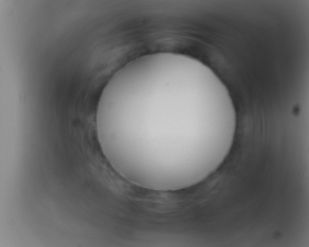 X0000113931109200910161844