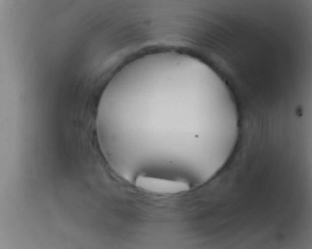 X0000113931110200910161844