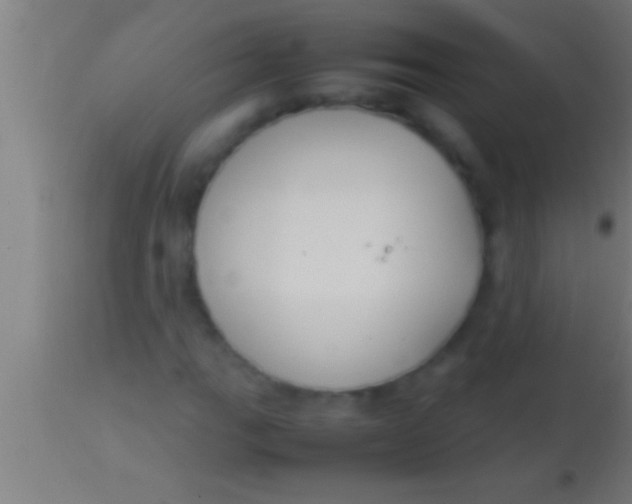 X0000113931111200910161844