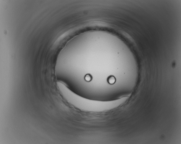 X0000113931112200910161844