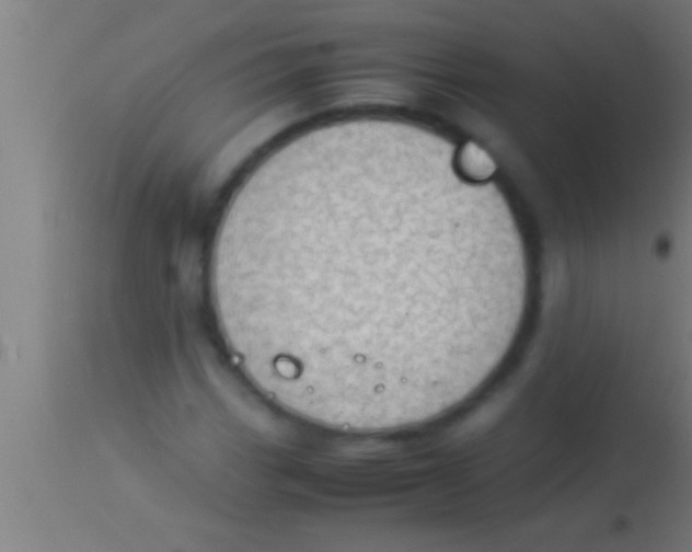 X0000113931113200910161844