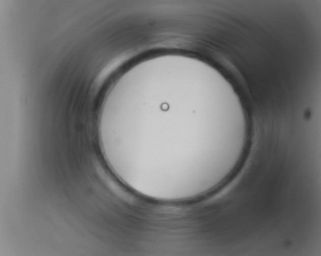 X0000113931114200910161844