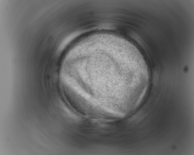 X0000113931115200910161844