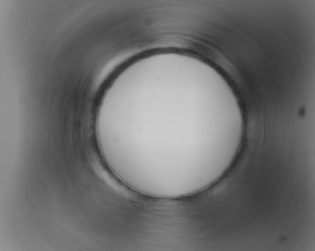 X0000113931116200910161844