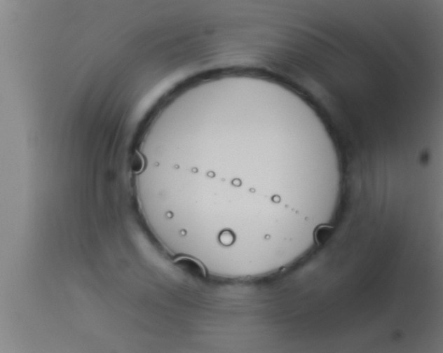 X0000113931118200910161844