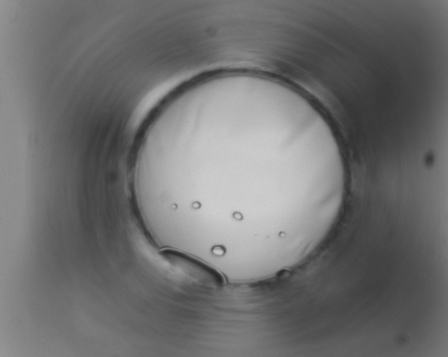 X0000113931120200910161844