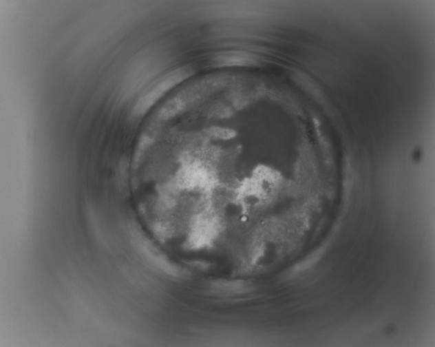 X0000113931121200910161844