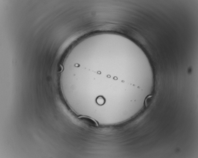 X0000113931122200910161844