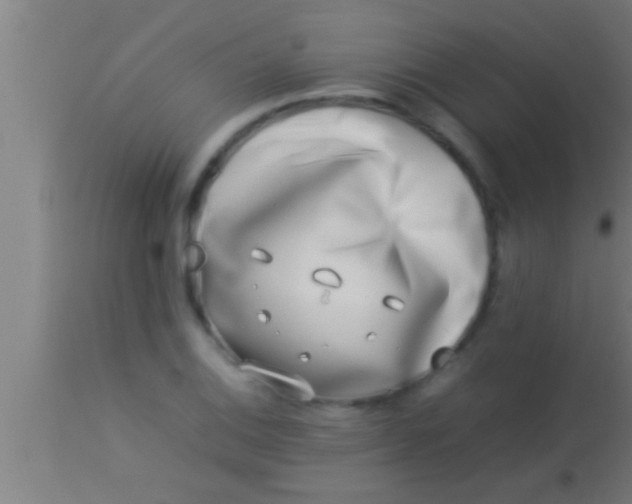 X0000113931124200910161844