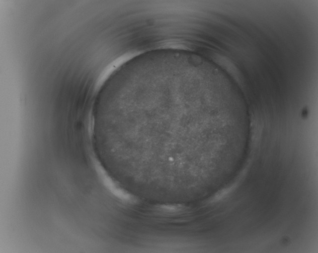 X0000113931125200910161844