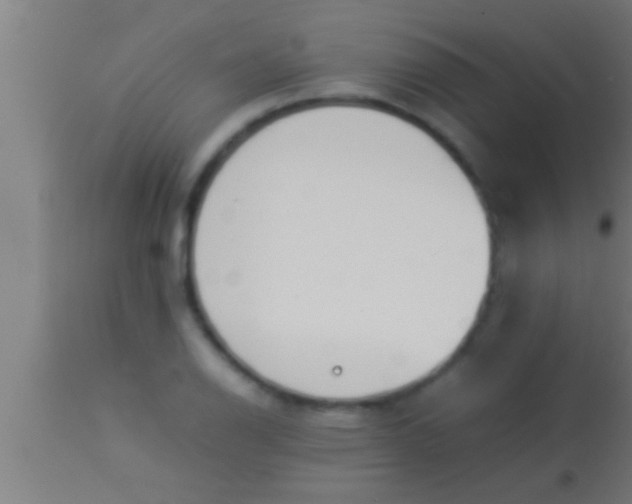 X0000113931126200910161844