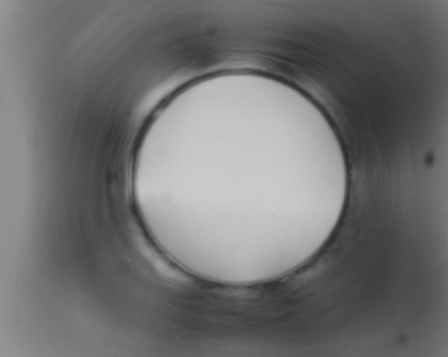 X0000113931127200910161844