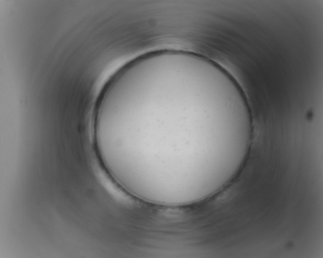 X0000113931128200910161844