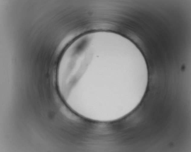 X0000113931130200910161844