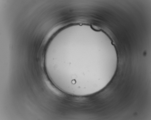 X0000113931131200910161844