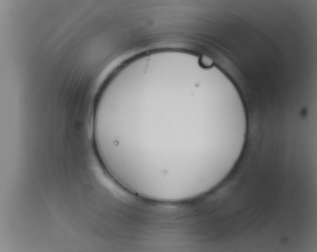 X0000113931132200910161844