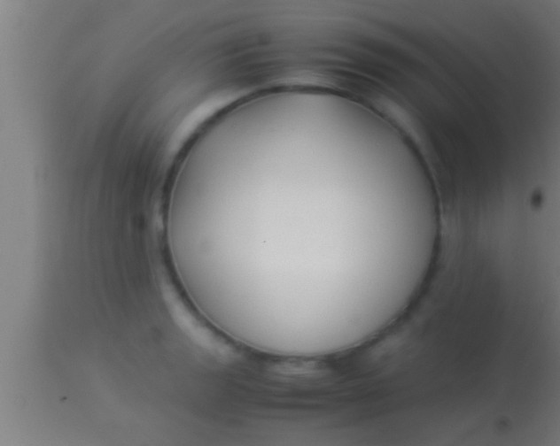 X0000113931133200910161844