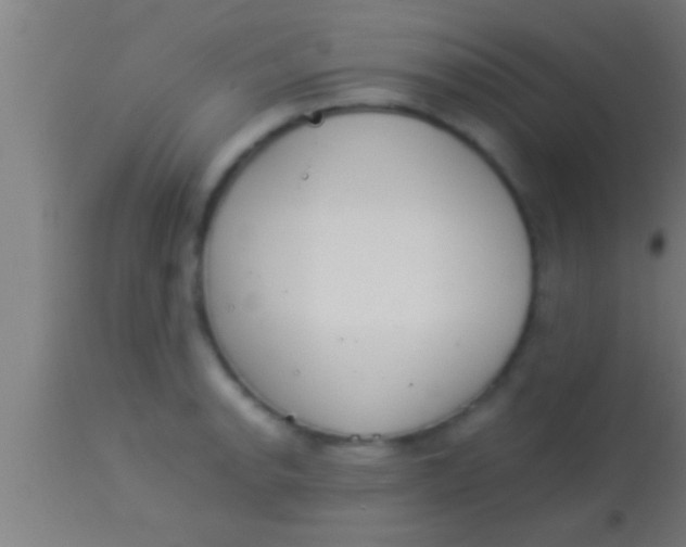 X0000113931134200910161844