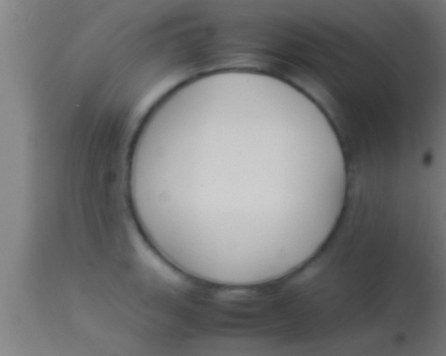 X0000113931135200910161844