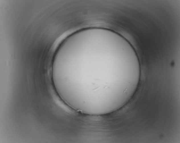 X0000113931136200910161844