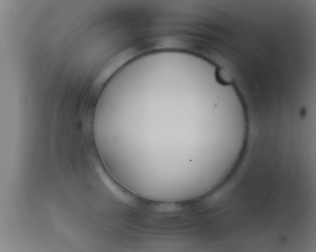 X0000113931137200910161844