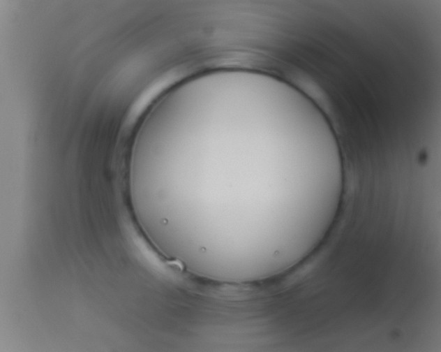 X0000113931138200910161844