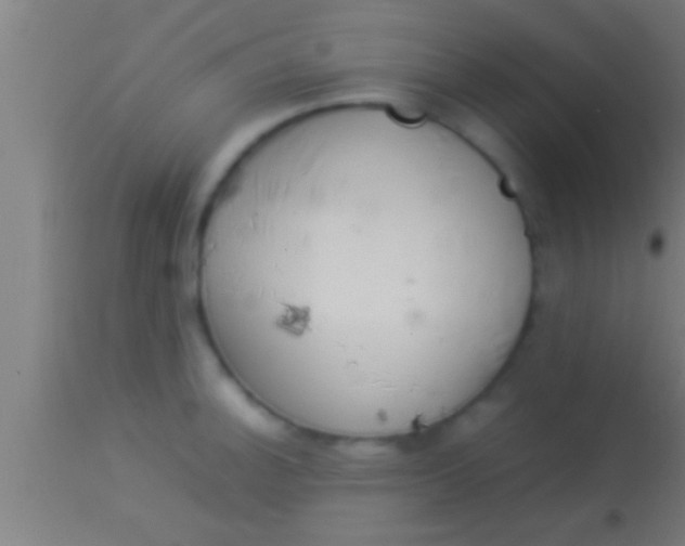 X0000113931140200910161844