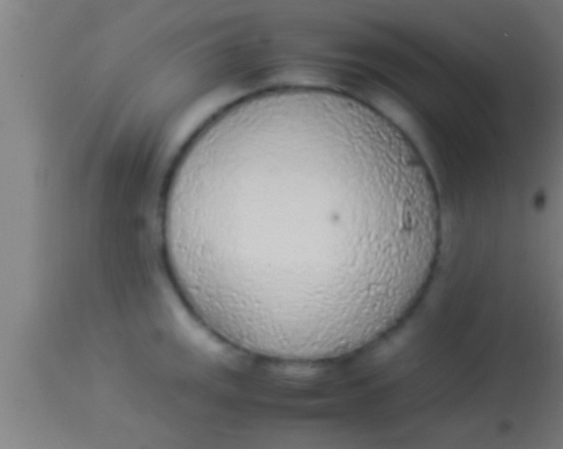 X0000113931141200910161844