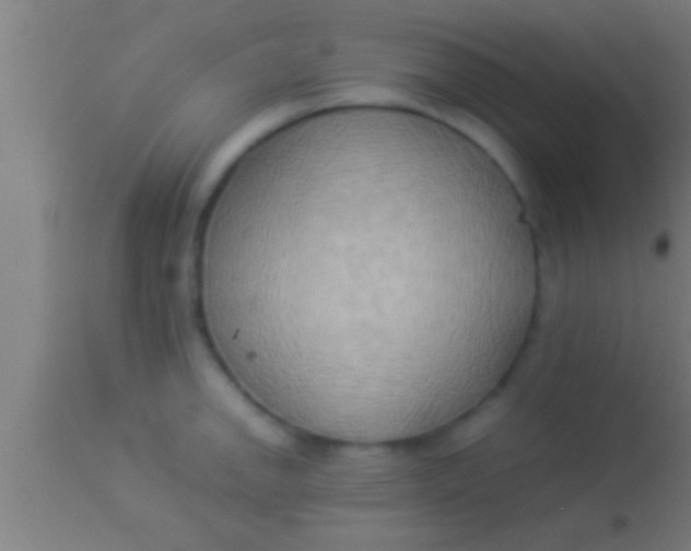 X0000113931142200910161844