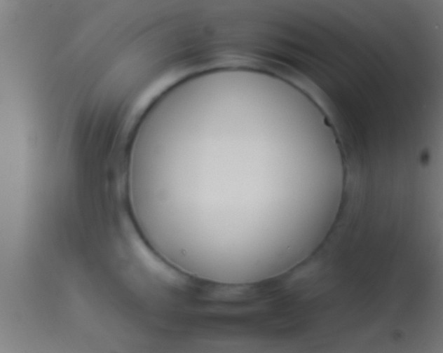 X0000113931143200910161844