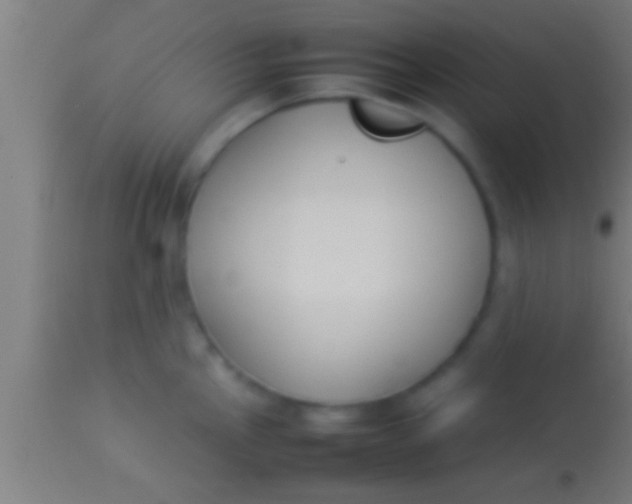 X0000113931145200910161844