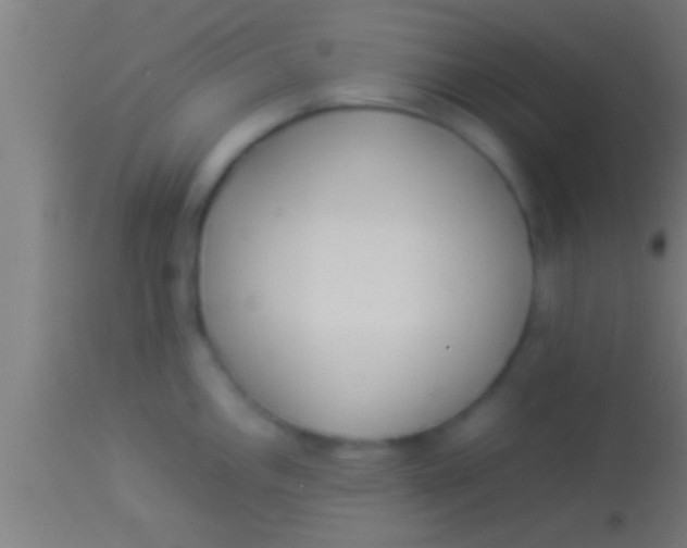 X0000113931146200910161844